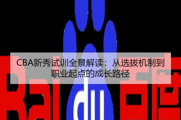 CBA新秀试训全景解读：从选拔机制到职业起点的成长路径